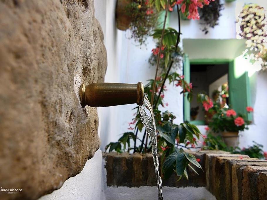 La Casa De La Costurera Leilighet Córdoba Eksteriør bilde