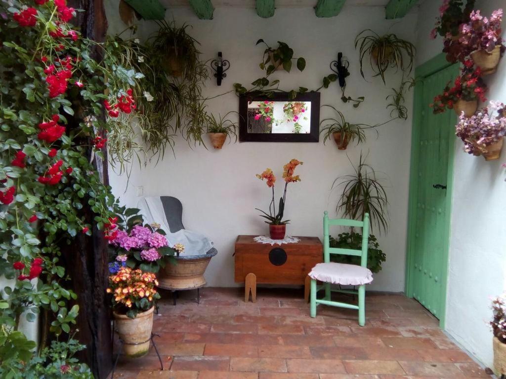 La Casa De La Costurera Leilighet Córdoba Eksteriør bilde
